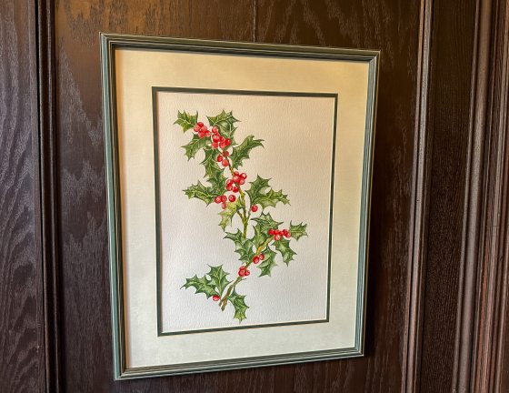 a botanical print of a holly stem